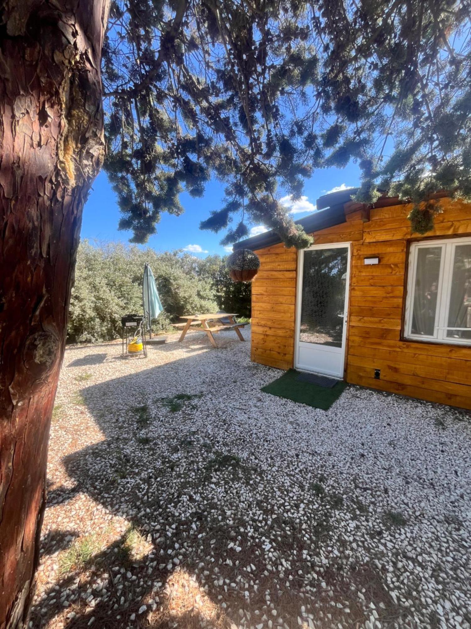 Villa Location T3 Jardin Avec Piscine à Mèze Extérieur photo
